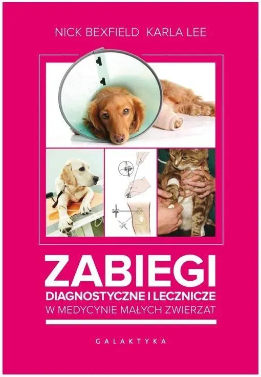 Zabiegi diagnostyczne i lecznicze w medycynie małych zwierząt