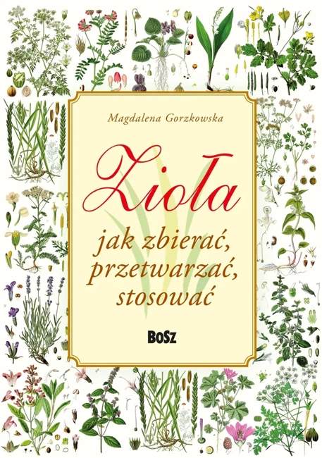 Zioła. Jak zbierać, przetwarzać, stosować