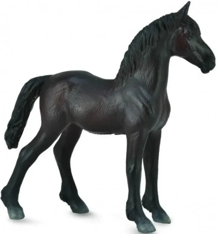 Źrebię Friesian Foal czarne