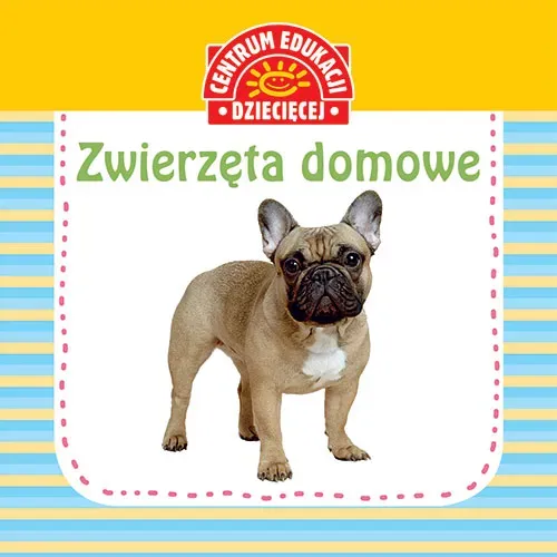 Zwierzęta domowe