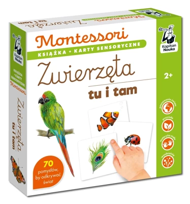 Zwierzęta tu i tam.  Kapitan Nauka. Montessori. Karty sensoryczne